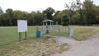 Dog Park